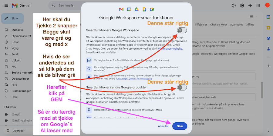 Step 4 - G-mail tjek om AI læser med